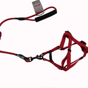 Комплект шлея з повідцем AnimAll для тварин