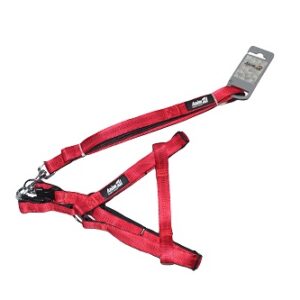 Набір шлея та повідець AnimAll, червоний