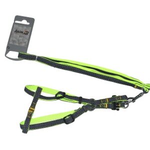 Набір шлея та повідець AnimAll Denim, зелений