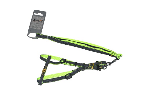 Набір шлея та повідець AnimAll Denim, зелений