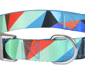 Нашийник AnimAll, для собак, нейлон