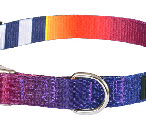 Нашийник AnimAll, для собак, нейлон