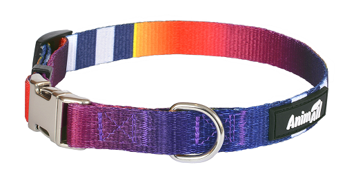 Нашийник AnimAll, для собак, нейлон