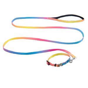 Комплект нашийник з повідцем AnimAll