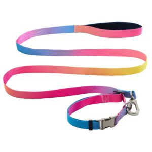 Комплект нашийник з повідцем AnimAll