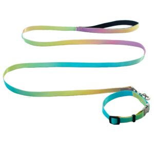 Комплект нашийник з повідцем AnimAll