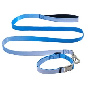 Комплект нашийник з повідцем AnimAll