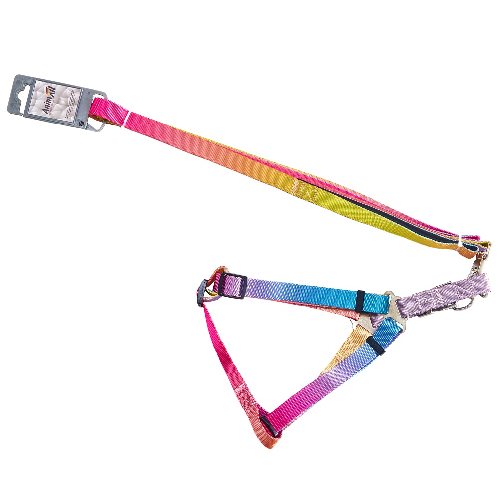 Комплект шлея з повідцем AnimAll, пантон 1