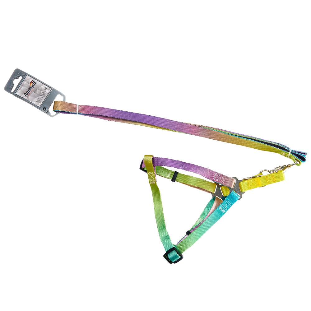 Комплект шлея з повідцем AnimAll для собак, пантон 2