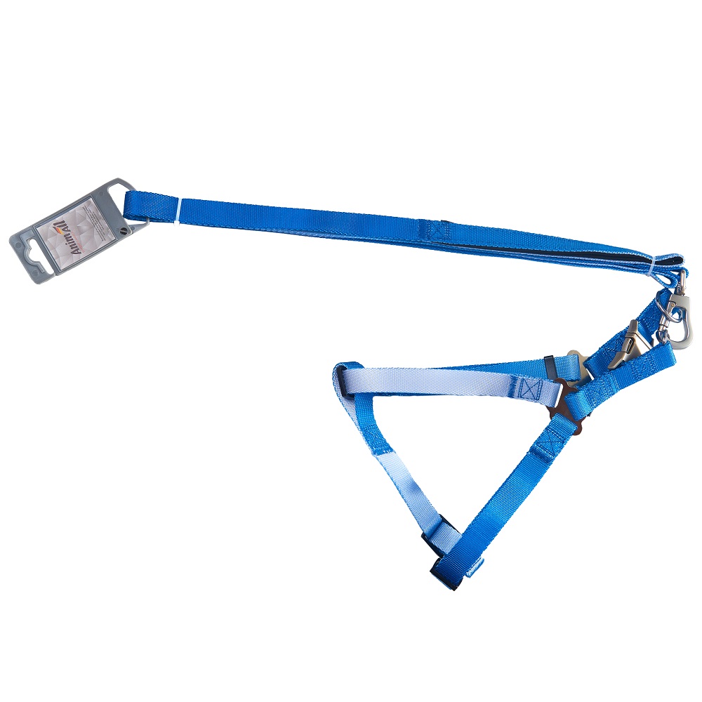 Комплект шлея з повідцем AnimAll для собак, пантон 3