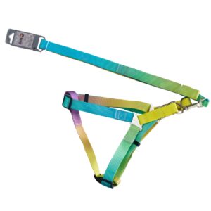 Комплект шлея з повідцем AnimAll, пантон 2