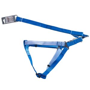 Комплект шлея з повідцем AnimAll для великих порід собак, пантон 3.