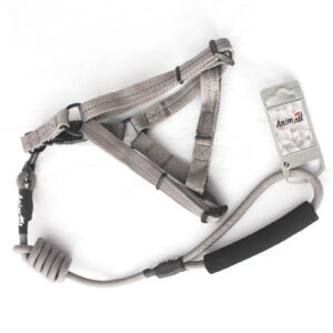 Комплект шлея з повідцем AnimAll для тварин