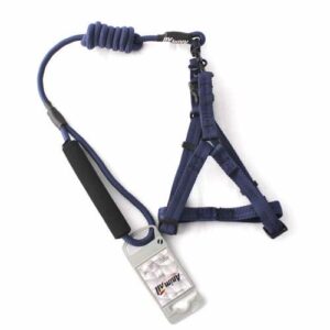 Комплект шлея з повідцем AnimAll для тварин