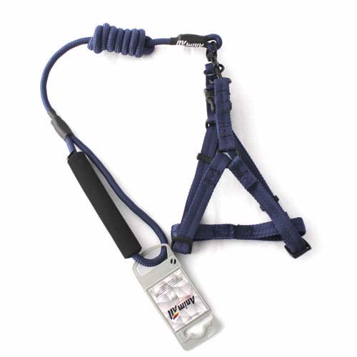 Комплект шлея з повідцем AnimAll для тварин