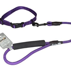 Комплект нашийник з повідцем AnimAll для собак, темно-фіолетовий