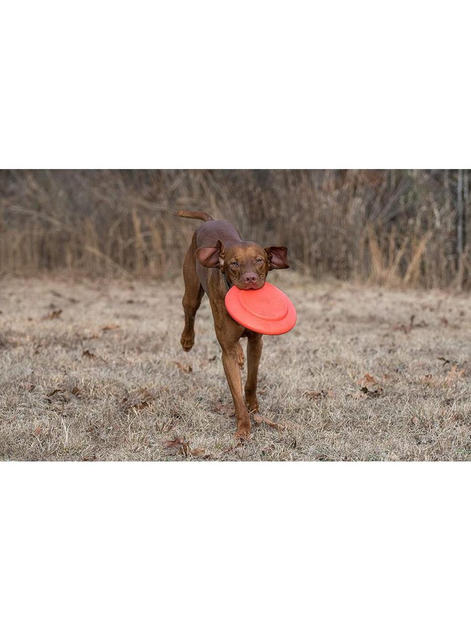 Іграшка для собак Dexas Off Leash Frisbee Flyer Фрізбі з карабіном - Зображення 6