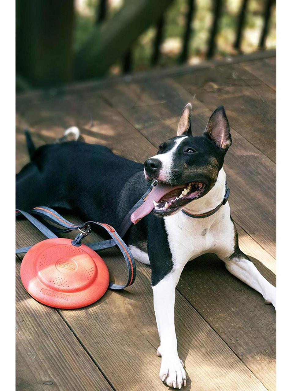 Іграшка для собак Dexas Off Leash Frisbee Flyer Фрізбі з карабіном - Зображення 7