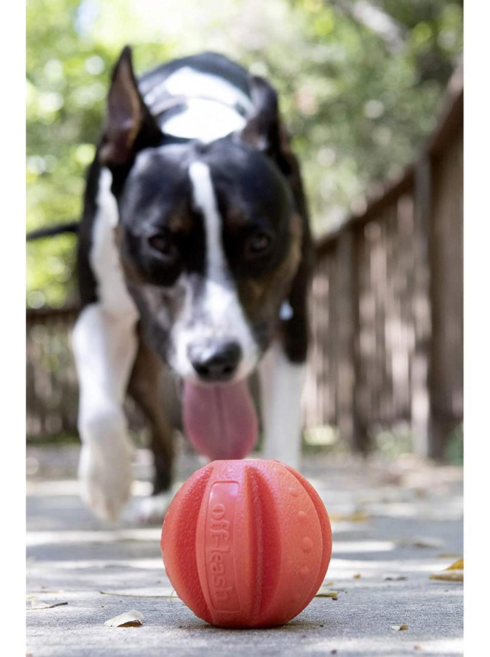 Іграшка для собак Dexas Off Leash Reaction Ball м'яч з карабіном - Зображення 5