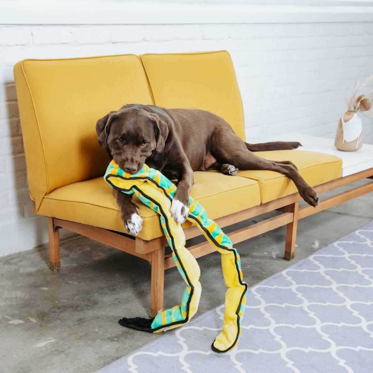 Іграшка для собак Outward Hound Invincibles Snakes (Непереможна Змія-пищалка) зелена 178 см - Зображення 3