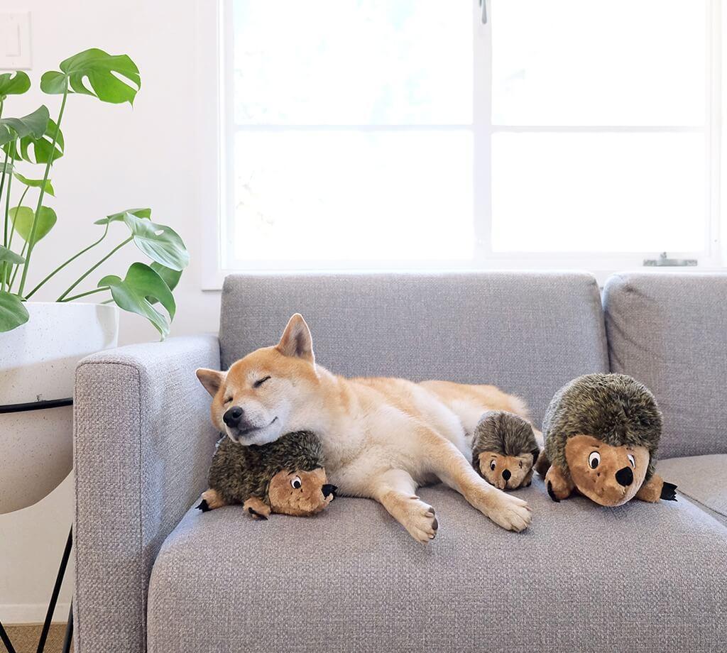 Іграшка для собак Outward Hound Hedgehogz (Їжачок-пищалка) 18 см - Зображення 6