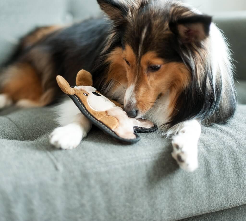 Іграшка для собак Outward Hound Invincibles Minis Puppy XS пищалка Непереможне щеня міні - Зображення 3