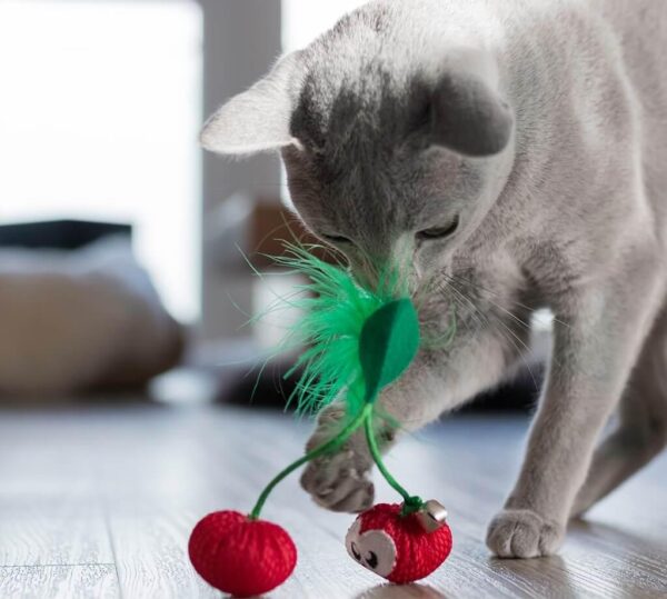 Іграшка для котів Petstages Dental Cherries (Вишня) 7х3х1,5 см - Зображення 3