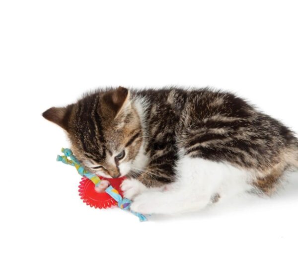 Іграшка для котів Petstages Kitty Chew Wheel (Колесо) червоний 5,1х12,7х1,3см - Зображення 2