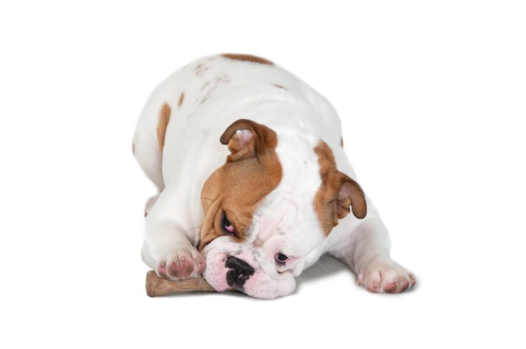 Іграшка для собак Petstages Dogwood Stick (Дог Вуд Стік Міцна гілка) 13,5 см - Зображення 6