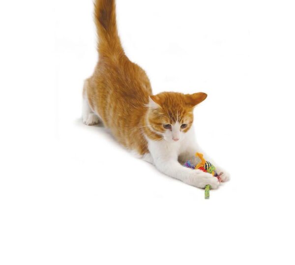Іграшка для котів Petstages Catnip Tons of Tails Хвостики 11x11x4см - Зображення 2