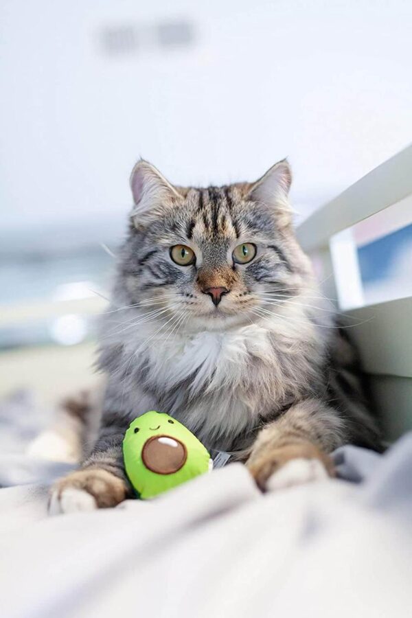 Іграшка для кішок Petstages Lil' Avocato Авокадо 5х7 см - Зображення 6