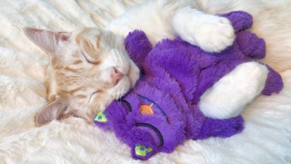 Іграшка для котів Petstages Purr Pillow Кіт-подушка антистрес Мур-Мур 16х28х3см - Зображення 2