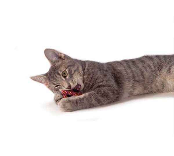 Іграшка для котів Petstages Catnip Plaque Away Pretze Крендель з котячою м'ятою 7см - Зображення 2