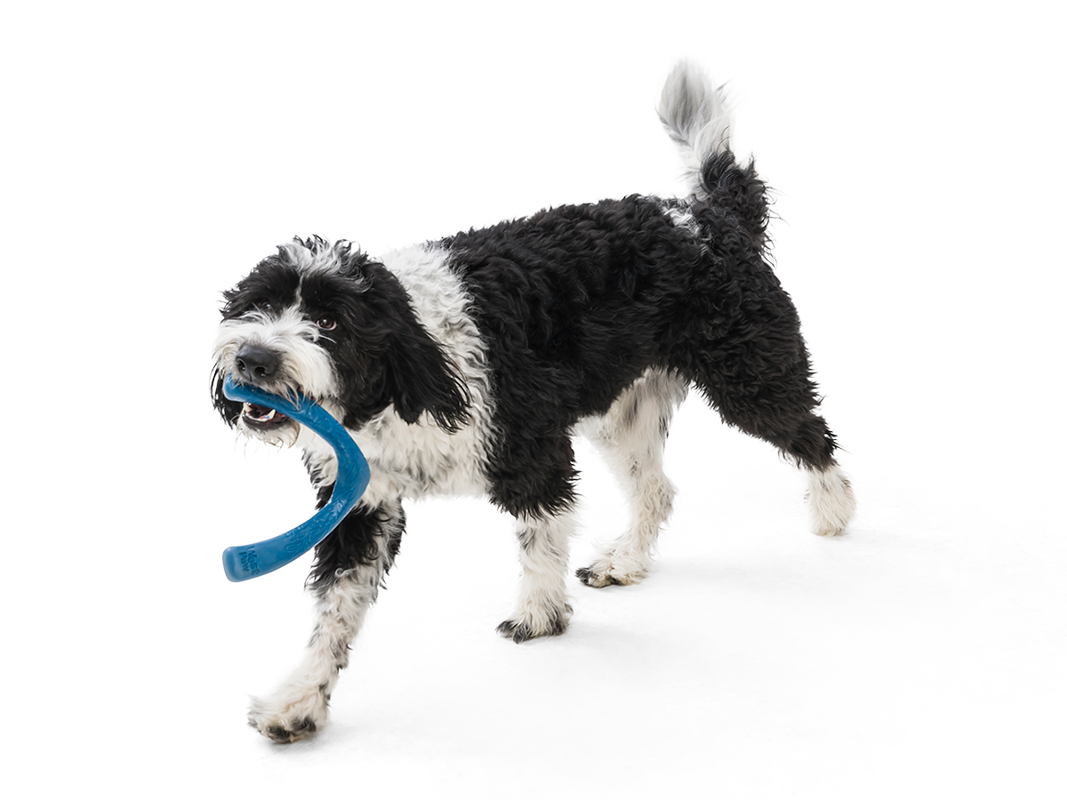 Іграшка для собак West Paw SeaflexSnorkl 21 см Cмарагдовий (SF051EMD) - Зображення 4