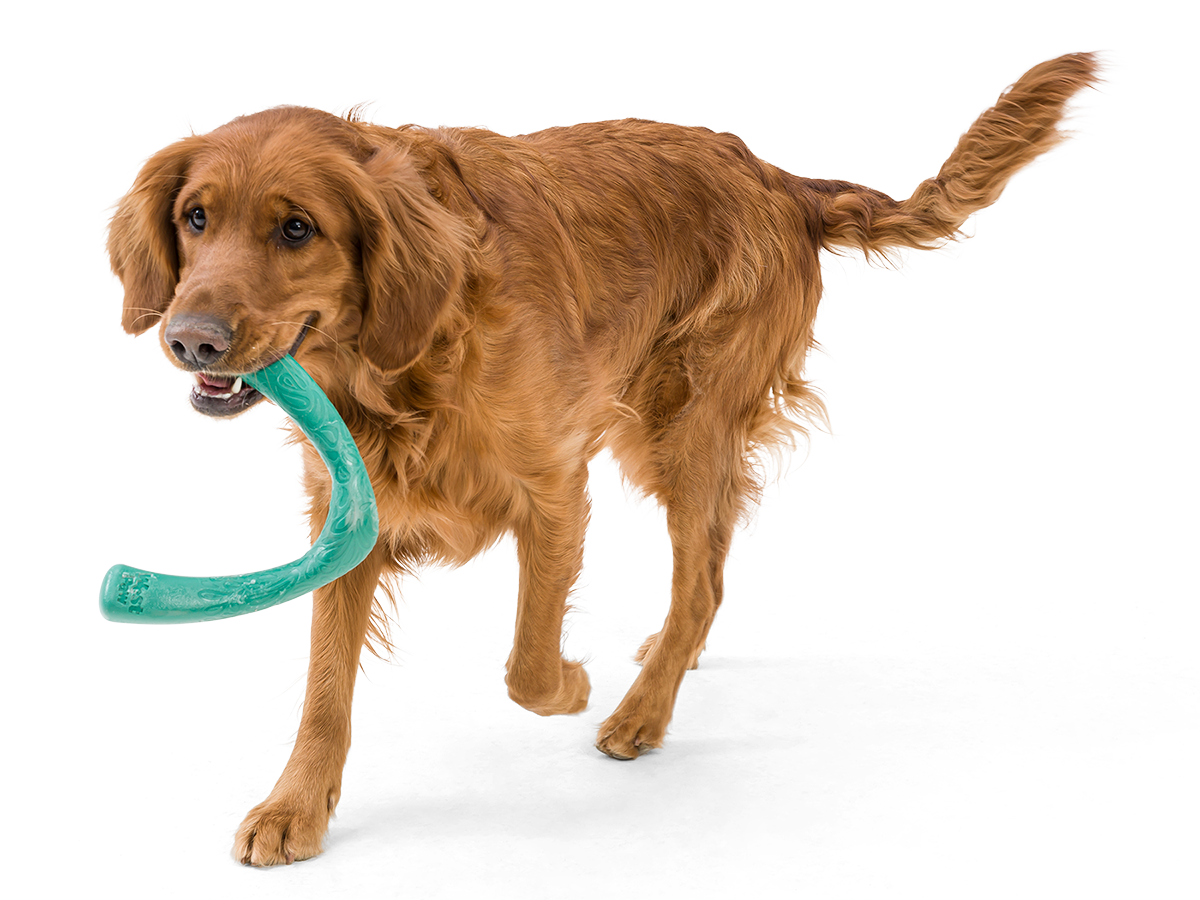Іграшка для собак West Paw SeaflexSnorkl 21 см Cмарагдовий (SF051EMD) - Зображення 5