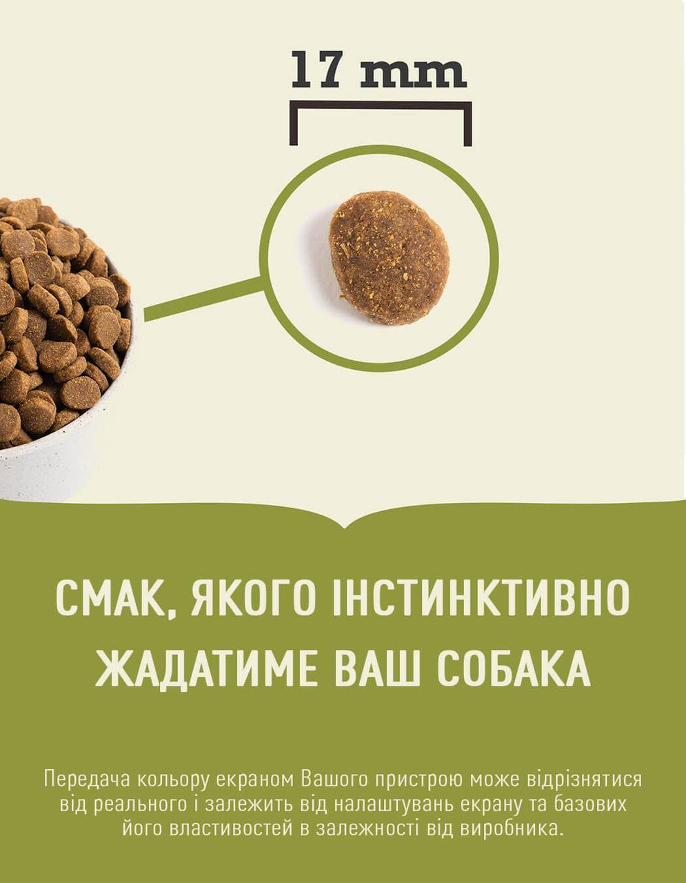 Сухий корм для дорослих собак великих порід ACANA Adult Large Breed Recipe 11,4 кг (а52111) - Зображення 2