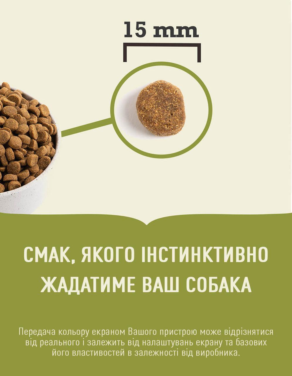 Сухий корм для цуценят великих порід ACANA Puppy Large Breed Recipe 11,4 кг (а50111) - Зображення 2