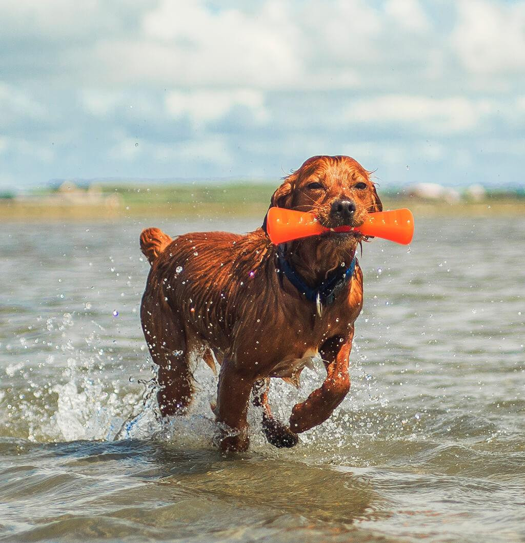 Іграшка для собак Bionic Opaque Stick (Опак Стік) гантель середня фіолетовий - Зображення 4