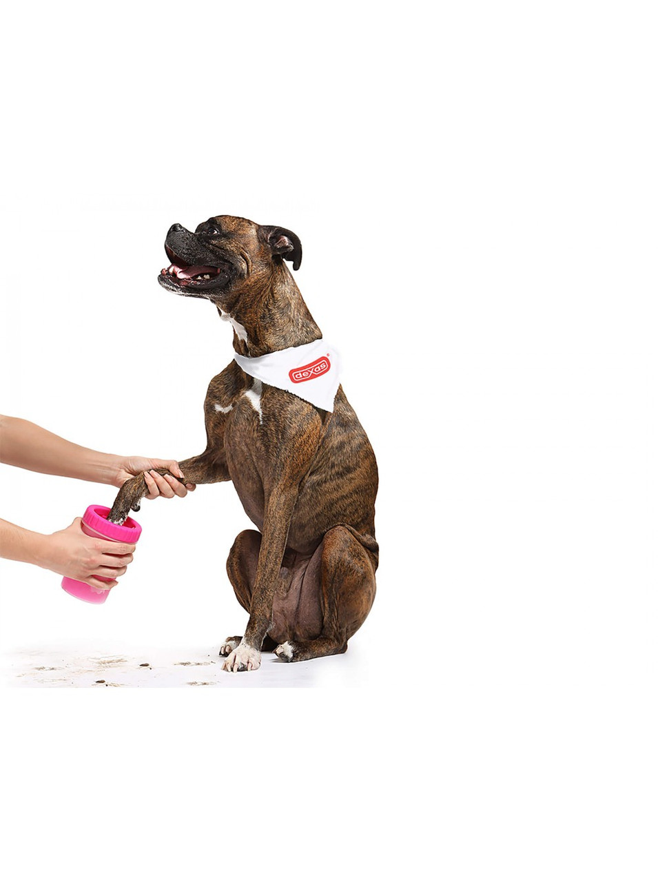 Лапомийка для собак Dexas MudBuster S 11 см Пурпурний (PW7002405) - Зображення 4