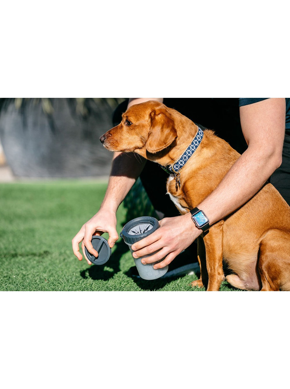 Лапомийка для собак Dexas MudBuster Lidded M з кришкою 15 см Сірий (PW710L-429) - Зображення 7