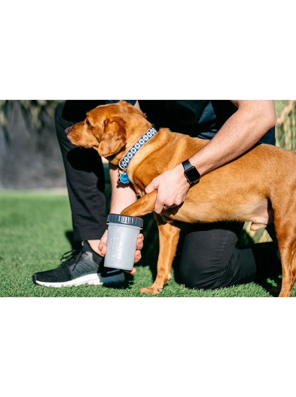 Лапомийка для собак Dexas MudBuster Lidded L з кришкою 22 см Сірий (PW720L-429) - Зображення 8