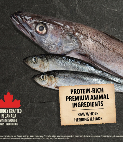 Сухий корм для собак всіх порід та всіх стадій життя ACANA Wild Coast 9,7 кг - Зображення 4