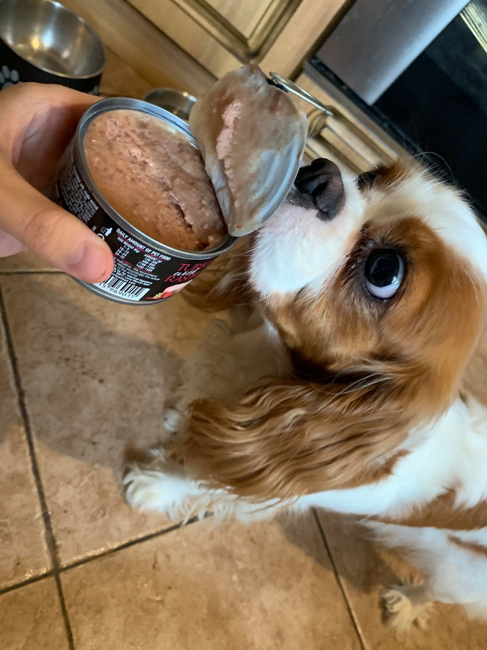 Повнораціонний вологий корм Alpha Spirit Beef with Melon з яловичиною та динею для дорослих собак 400 г (as969954) - Зображення 5