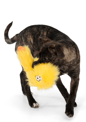 Іграшка для собак West Paw Wilson Zogoflex HardyTex пухнаста пищалка Вілсон 25х8 см Рожевий - Зображення 4