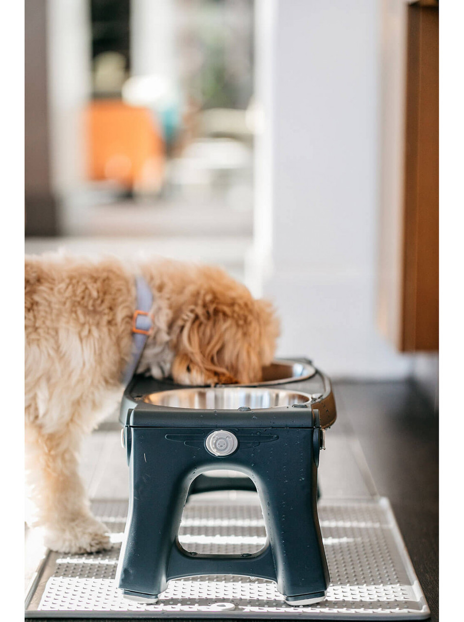 Килимок антиковзкий під миски Dexas Bowl Grippmat L для собак та котів 60x43 см Блакитний (PW9502194) - Зображення 7