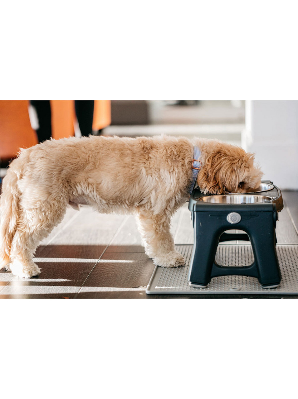 Килимок антиковзкий під миски Dexas Bowl Grippmat S для собак та котів 33x48 см Блакитний (PW9002194) - Зображення 8