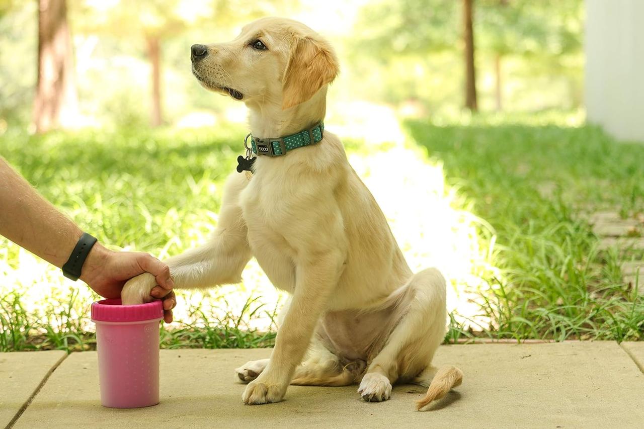 Лапомийка для собак Dexas MudBuster М 15 см Пурпурний (PW7102405) - Зображення 5