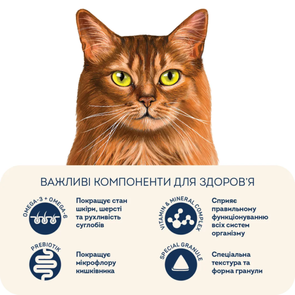 Home Food Сухий корм здорова шкіра та блиск шерсті для дорослих котів Індичка та лосось - Зображення 4