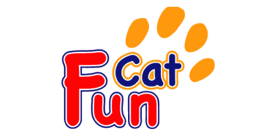 fun cat