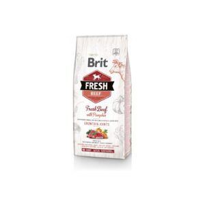 Корм сухий Brit Fresh Beef/Pumpkin Puppy Large для цуценят та молодих собак великих порід з яловичиною та гарбузом